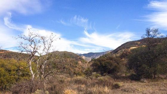 Thursday Morning Trek: Baker Canyon