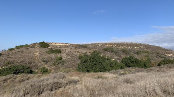 A view of Saddleback Wilderness Area