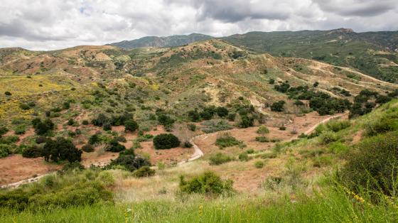 Gypsum Canyon Wilderness