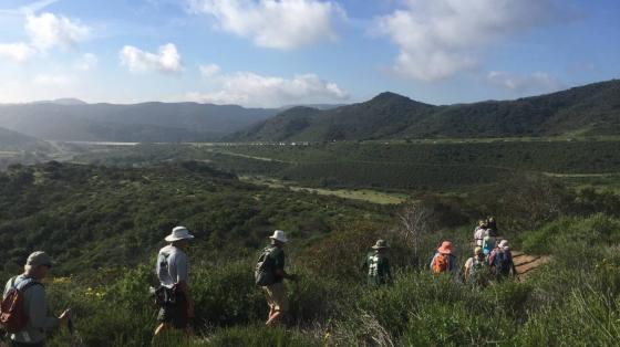 Fitness Hike- Ridge 