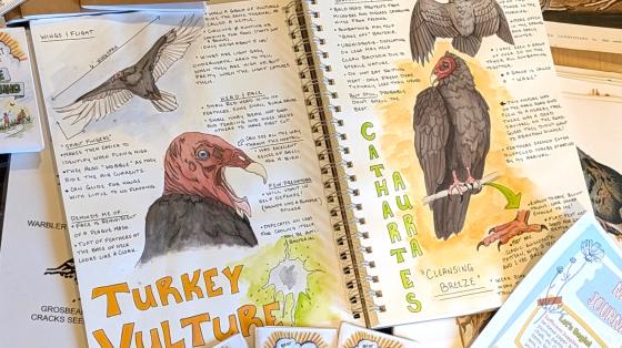 nature journaling art