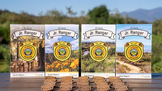 JR. Ranger_2