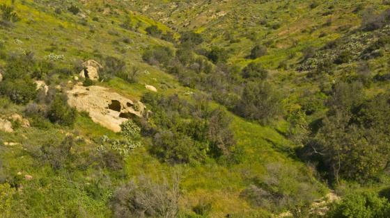 Weir Canyon Post Fire