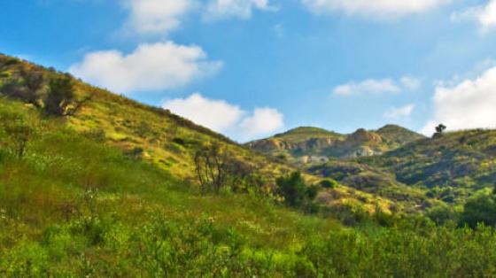 Weir Canyon View