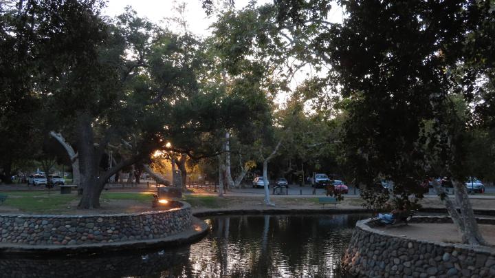 Dusk over a lake surrounded by oak trees in Irvine Regional Park
