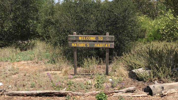 MISQ Nature Area
