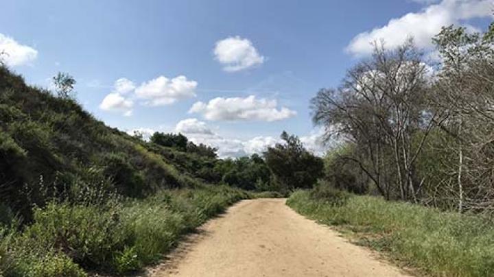 A wide, flat trail under a blue sky with puffy clouds is flanked by natural sage scrub.