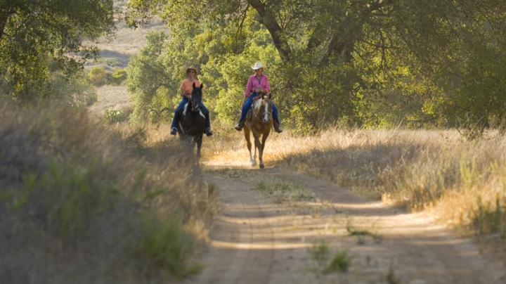 Equestrians Ride through Limestone Canyon
