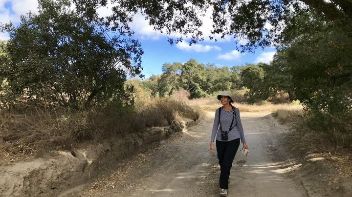 A hiker walks through Whiting Ranch