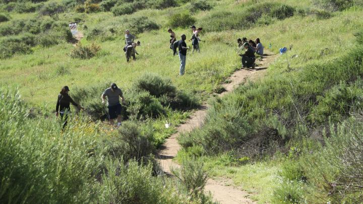 Keeping It Wild Near Stagecoach South Trail