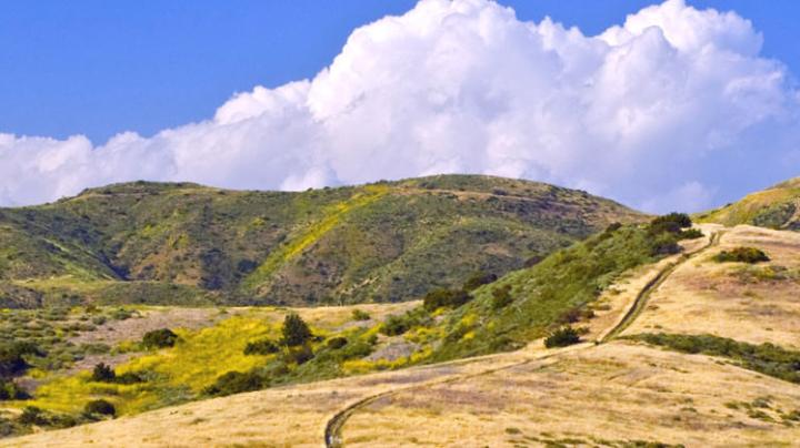 A view from Limestone Canyon