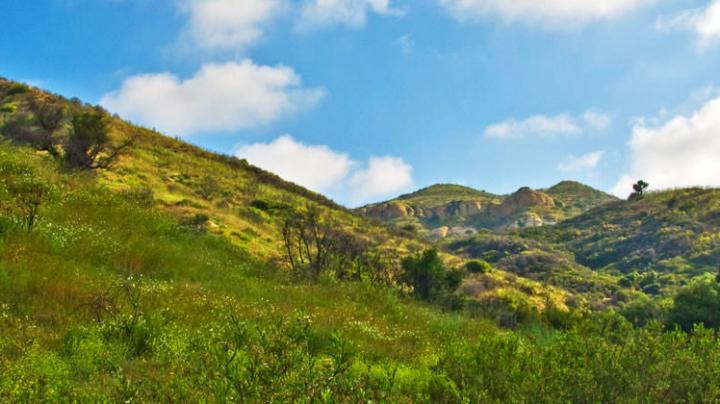 Weir Canyon Hike to the Overlook Trail | OC Parks