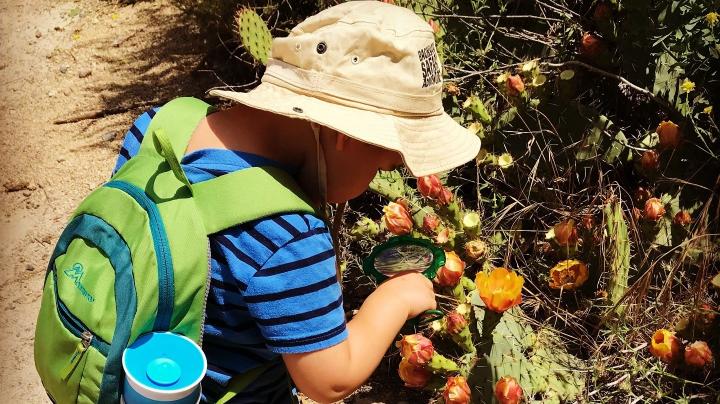 child and cactus 