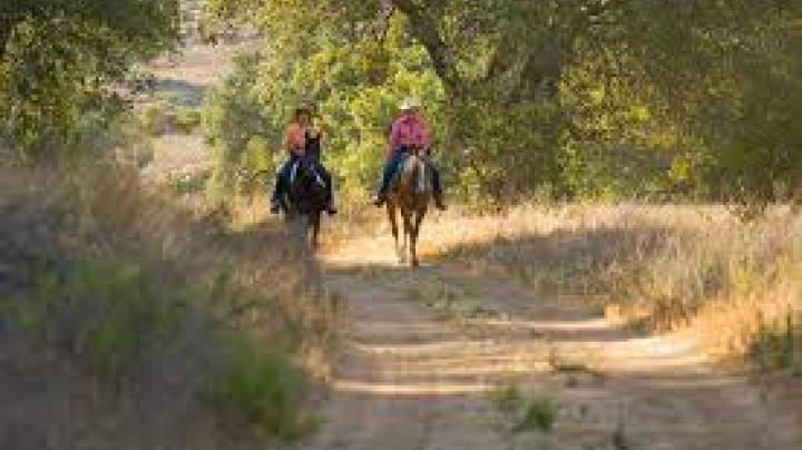 The Lure and Lull of Limestone Canyon and The Sinks Equestrian Ride