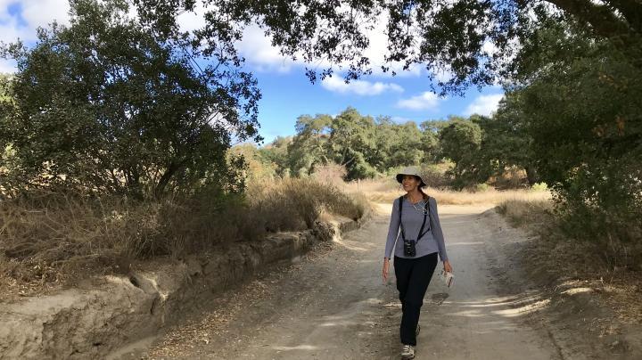Early Morning Hike Whiting Wilderness Park OC Parks