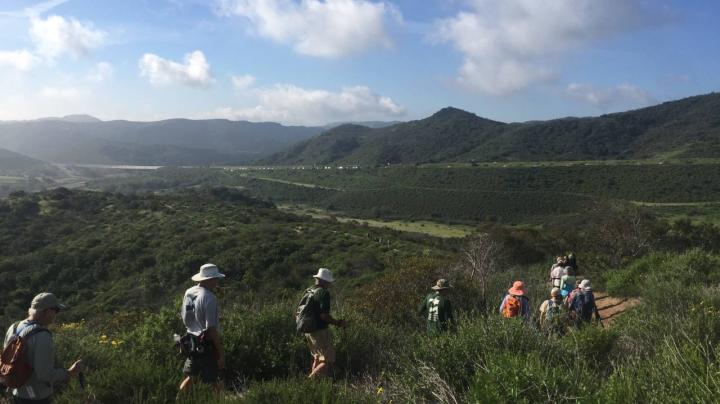 Fitness Hike at Ridge Park