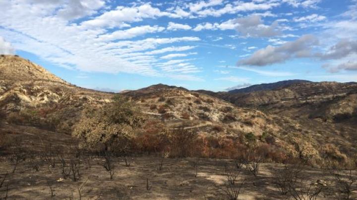 santiago canyon post canyon 2 fire 2017