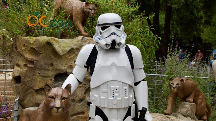 oc zoo star wars day