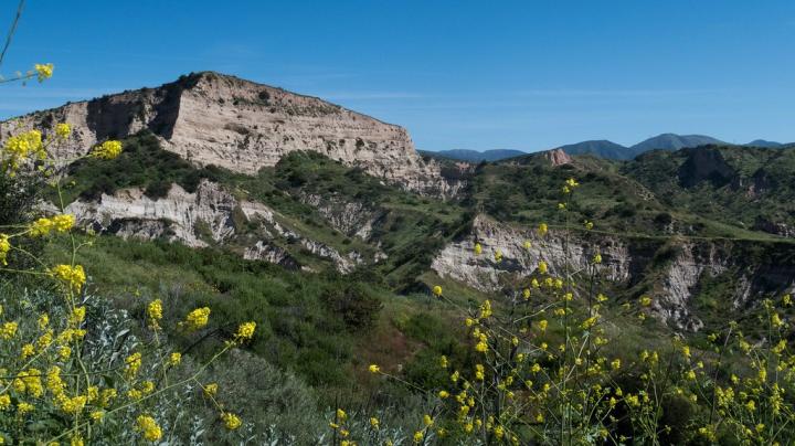 Invasive Plant Removal at Agua Chinon