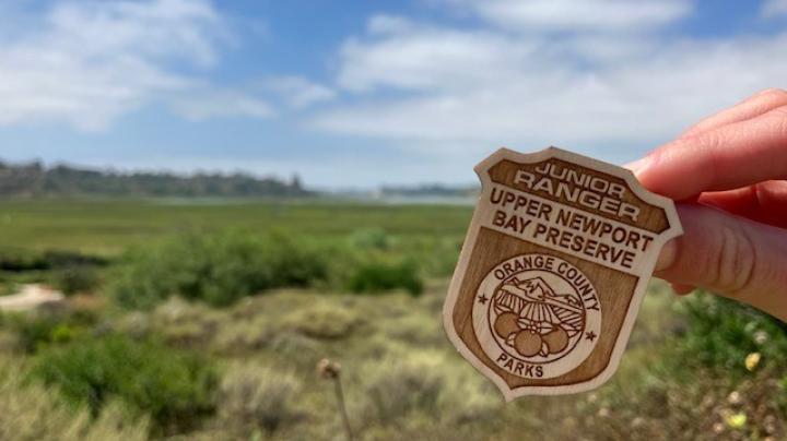 Junior ranger badge