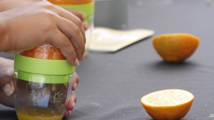 Citrus juicing activity at Summer Citrus Harvest at Key Ranch