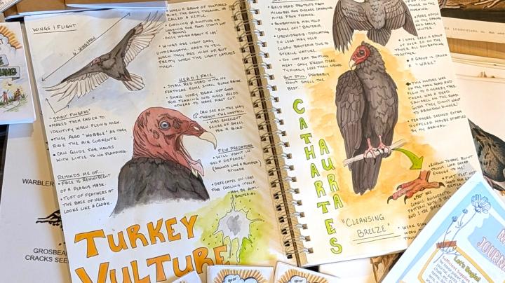 nature journaling art