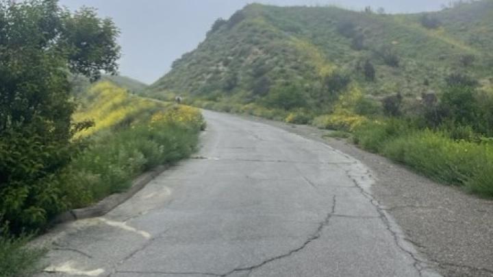 Overcast Hillside Road