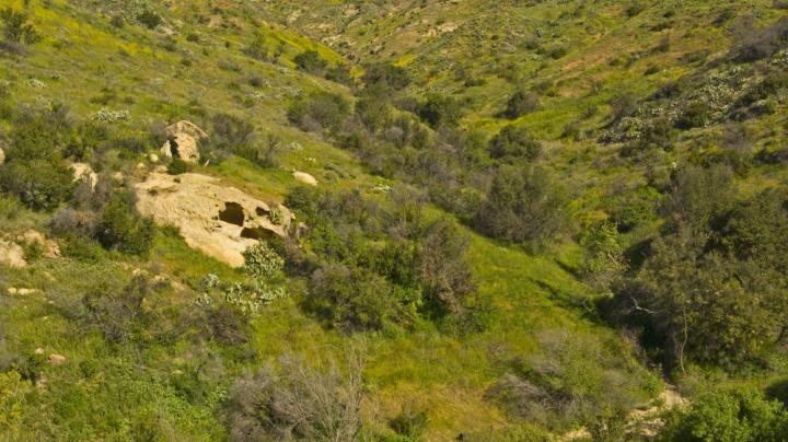 Weir Canyon Post Fire