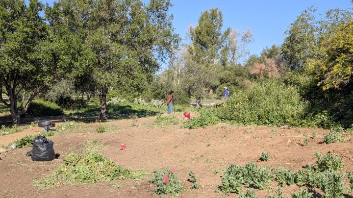 Habitat Adventure Trail Restoration