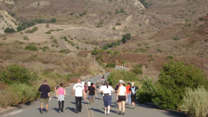 Fitness Hike on Hicks Haul Road