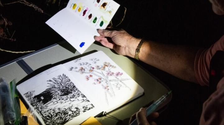 Nature Journaling Night