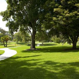 Green grassy area with a paved path and trees