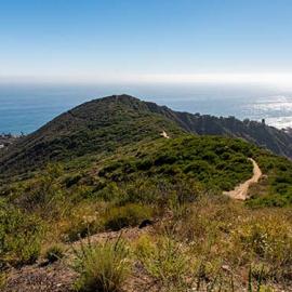 Narrow trail on a sage-scrub ridge high over the ocean in the background