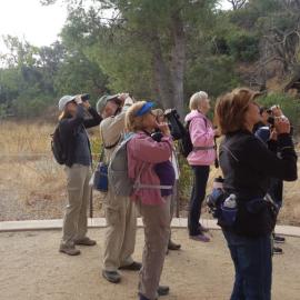A group of people standing while looking through binoculars