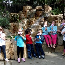 OC Zoo preschool program 