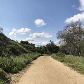 A wide, flat trail under a blue sky with puffy clouds is flanked by natural sage scrub.