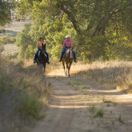 Equestrians Ride through Limestone Canyon
