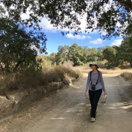 A hiker walks through Whiting Ranch