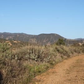 A trail with a view of Santa Ana mountains in Baker Canyon