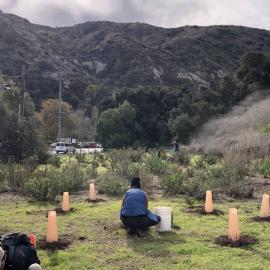 Keep It Wild Native Plant Nursery Stewardship Event at Laguna Coast Wilderness Park