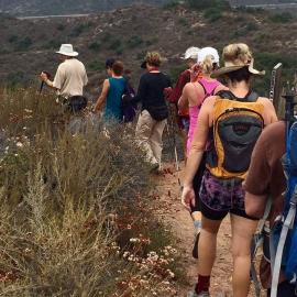 Fitness Hike on Little Sycamore Trail