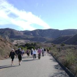 Early Morning Fitness Hike on Hicks Haul Road