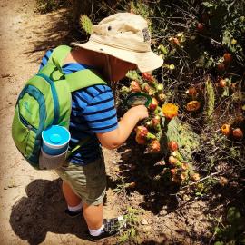 child and cactus 