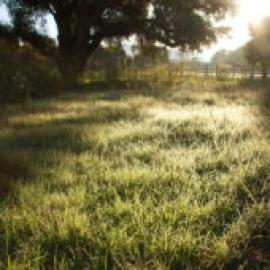 Discover Hidden Canyons, Limestone Canyon