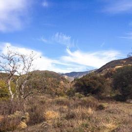 Thursday Morning Trek: Baker Canyon