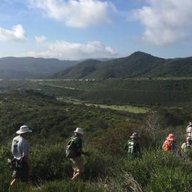 Fitness Hike at Ridge Park