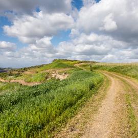 Saddleback Wilderness