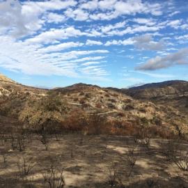 santiago canyon post canyon 2 fire 2017