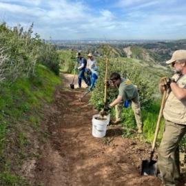 Trail Work Day