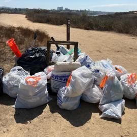 Coastal Cleanup Day at the Bay